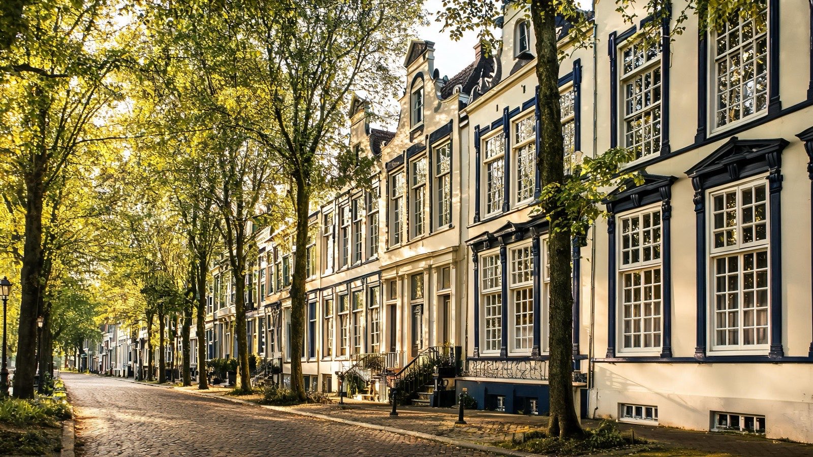 Statige herenhuizen aan een laan in Den Haag