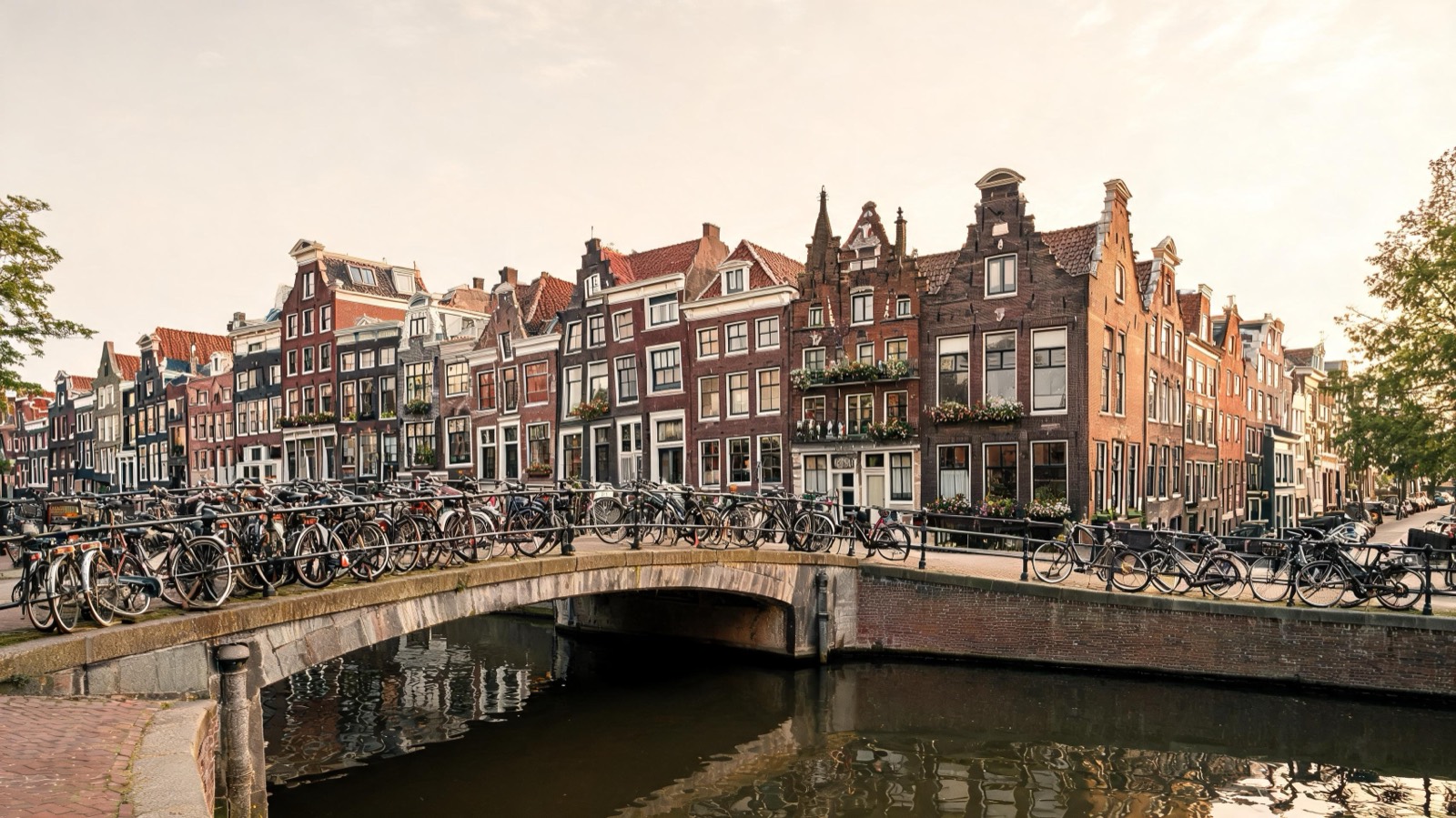 Grachtenpanden in de binnenstad van Leiden
