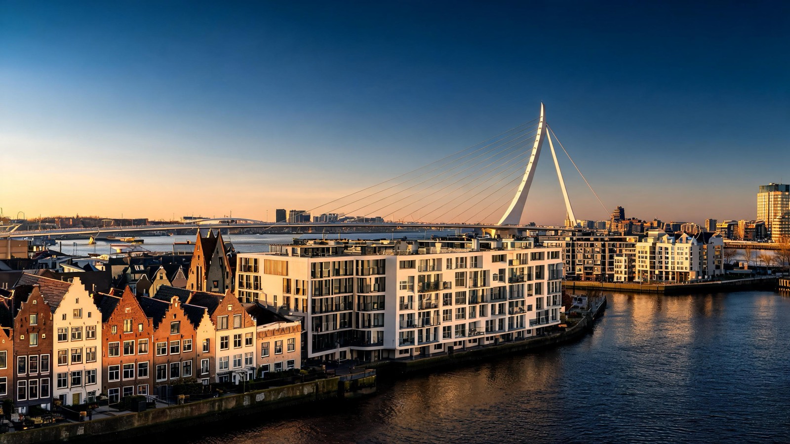 Woningen bij de Erasmusbrug in Rotterdam